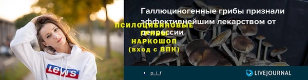 МДПВ Алексин
