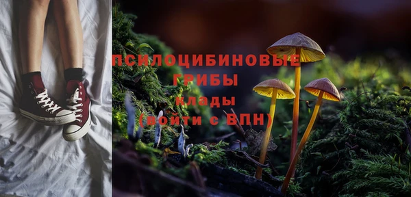 МДПВ Алексин