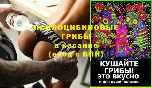 эйфоретик Алзамай