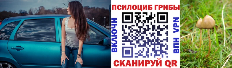 Псилоцибиновые грибы GOLDEN TEACHER  Балашов 