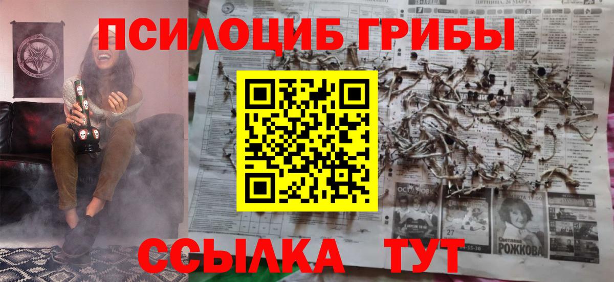 Псилоцибиновые грибы Psilocybine cubensis Балашов